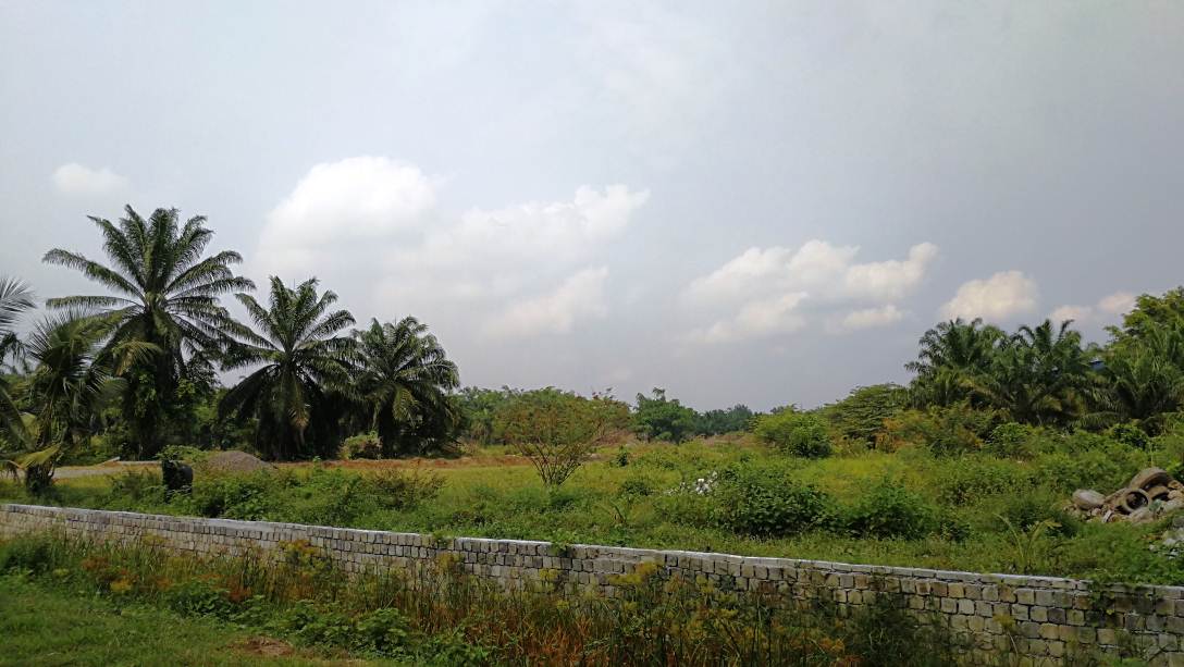 6 Acres Zoned Industry Land KLIA Sepang - photo 5