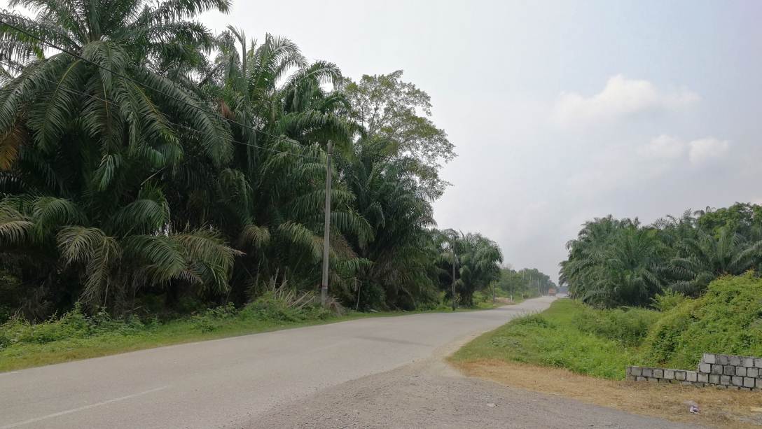 6 Acres Zoned Industry Land KLIA Sepang - photo 7