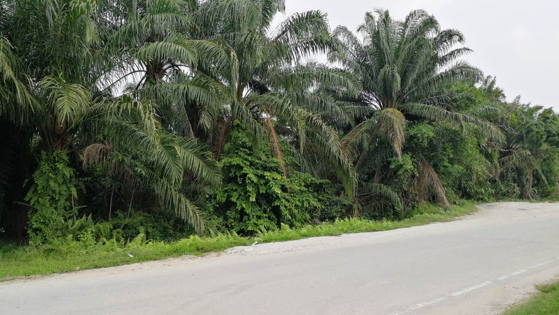 6 Acres Zoned Industry Land KLIA Sepang - photo 8
