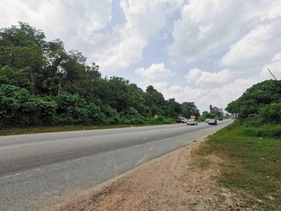 1Acre Agriculture Land Rasa Batang Kali - photo 8