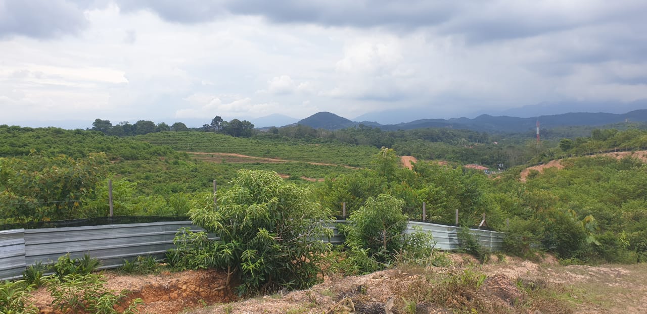 80 Acre Agriculture Land Lubok China Melaka - photo 2