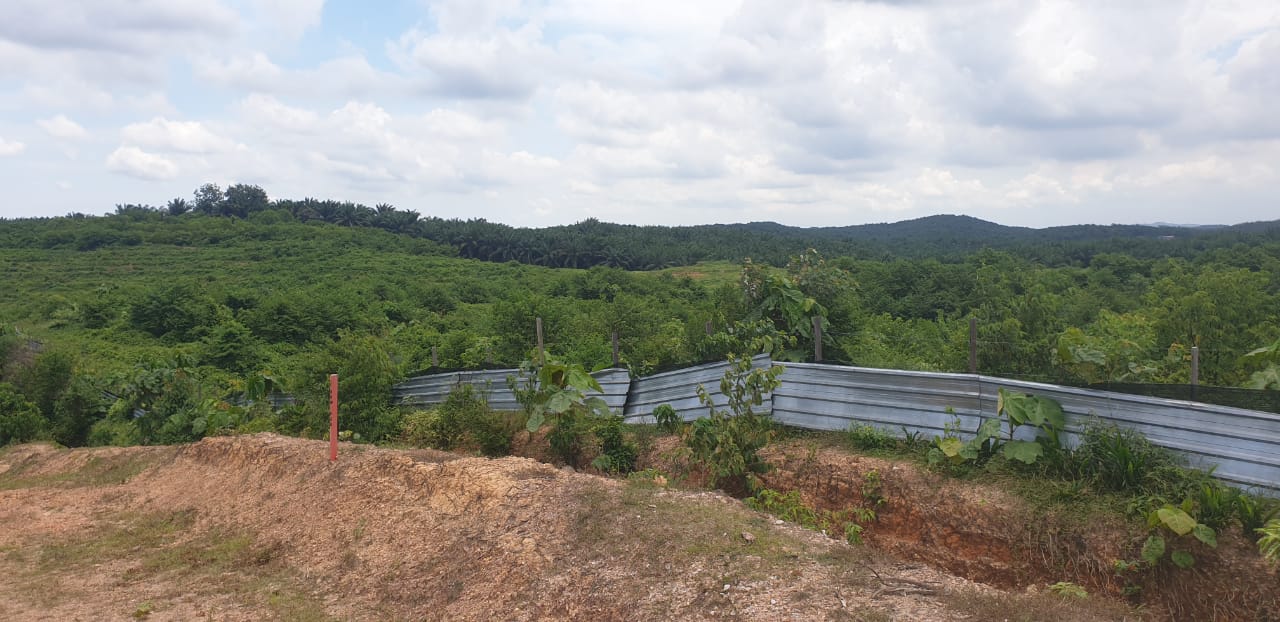 80 Acre Agriculture Land Lubok China Melaka - photo 3