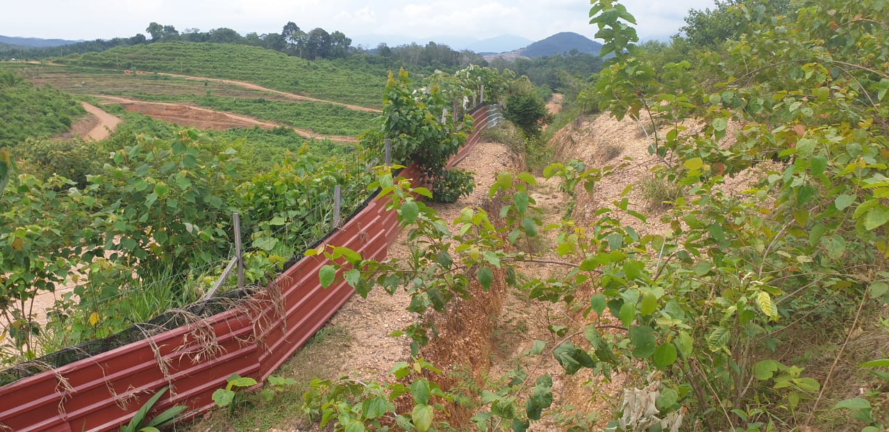 80 Acre Agriculture Land Lubok China Melaka - photo 4