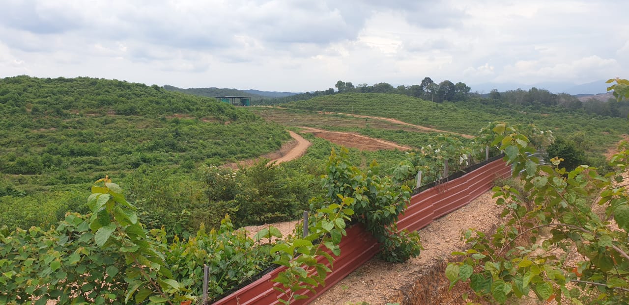 80 Acre Agriculture Land Lubok China Melaka - photo 9