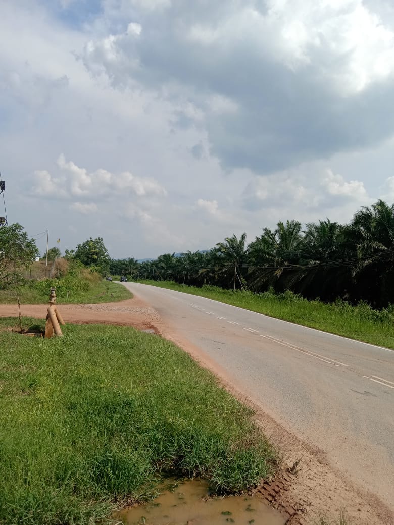 6Acre Durian Farm Simpang Pertang Jelebu - photo 11