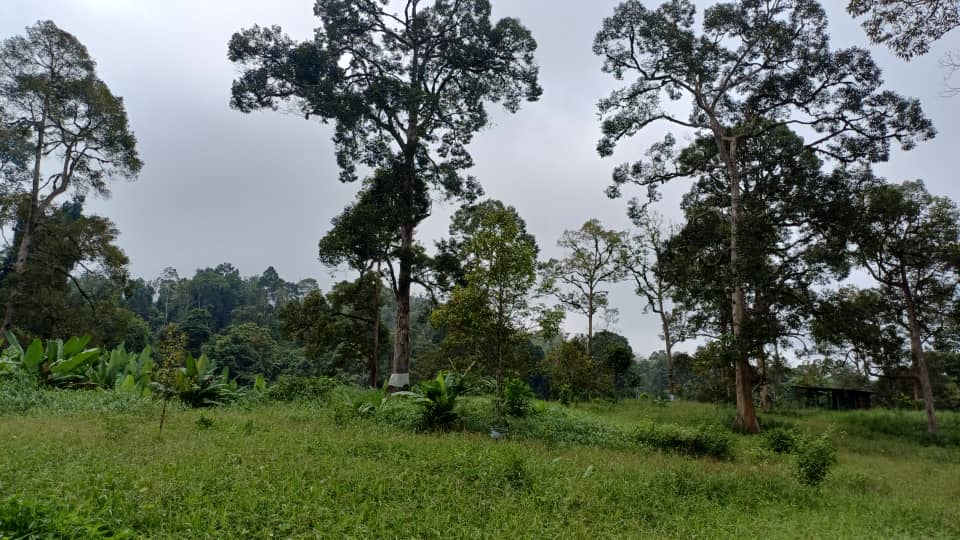 2 Acres Freehold Dur ...