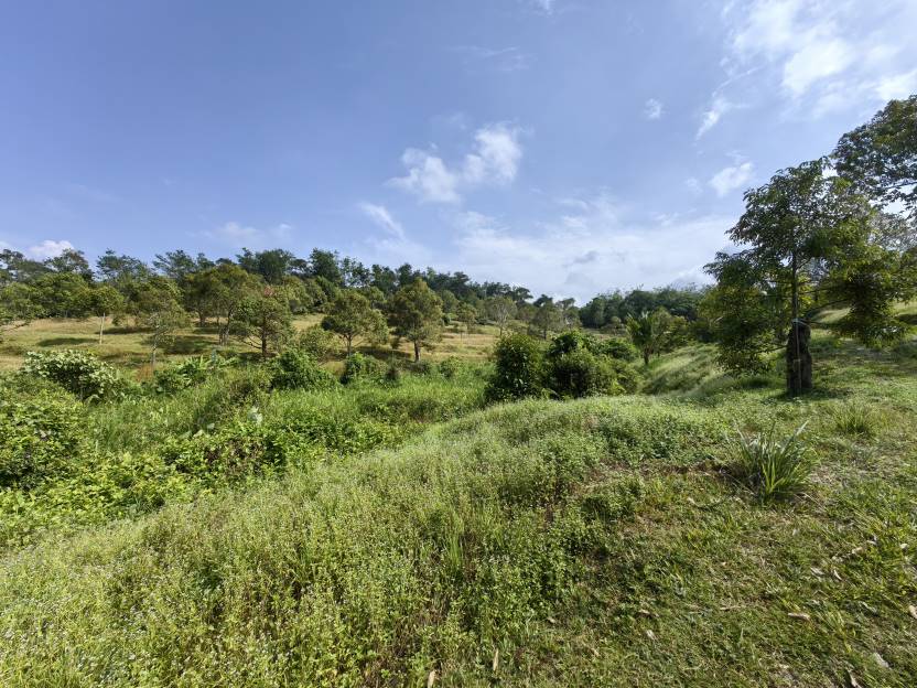 9 Acres Freehold Dur ...