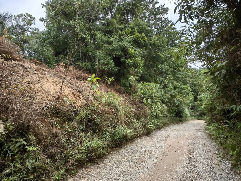 8 Acres Freehold Agriculture Land Kuala Lipis - photo 5
