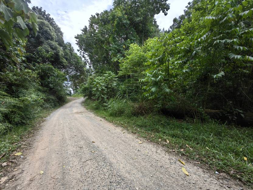 8 Acres Freehold Agriculture Land Kuala Lipis - photo 6
