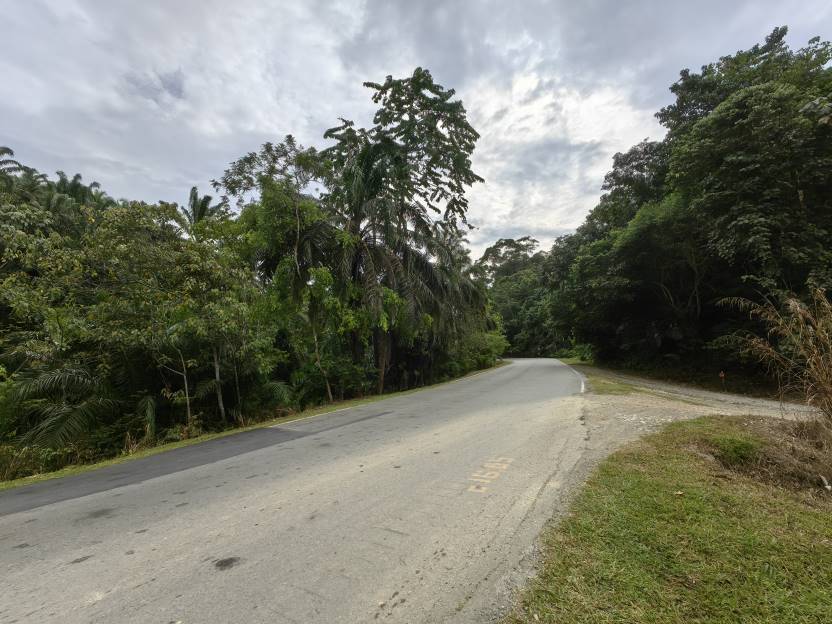 8 Acres Freehold Agriculture Land Kuala Lipis - photo 9