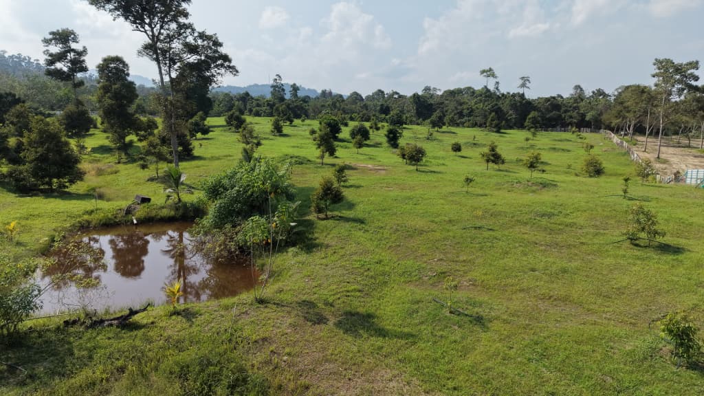 6 Acres Durian Farm Sg Dua Karak Bentong - photo 5