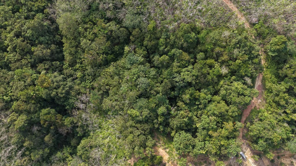 2 Acres Agriculture Land Bandar Kuala Lipis Kechau - photo 4