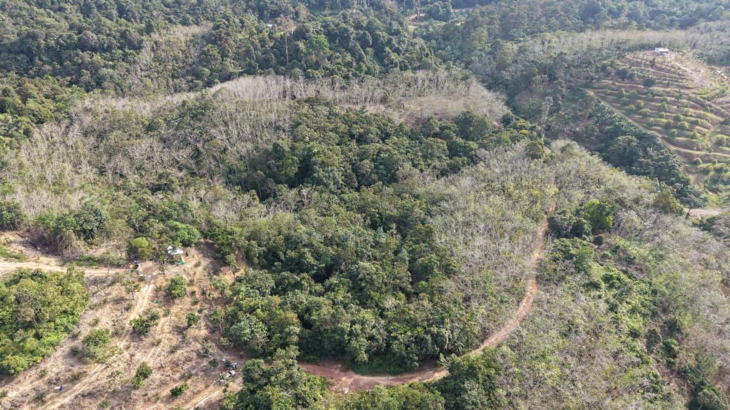 2 Acres Agriculture Land Bandar Kuala Lipis Kechau - photo 5