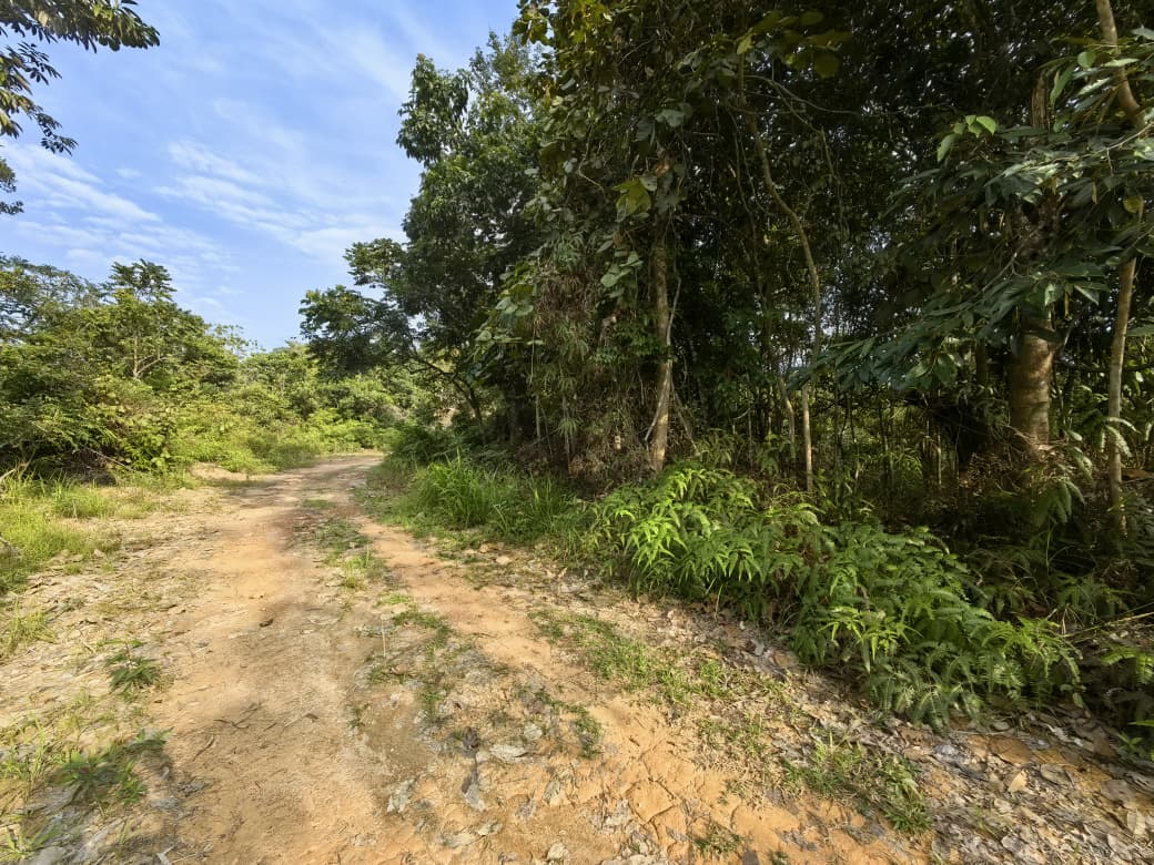 2 Acres Agriculture Land Bandar Kuala Lipis Kechau - photo 8