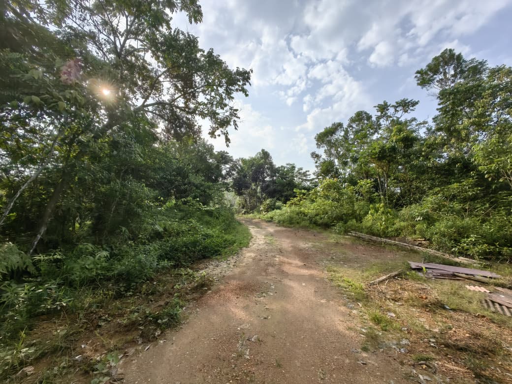 2 Acres Agriculture Land Bandar Kuala Lipis Kechau - photo 9