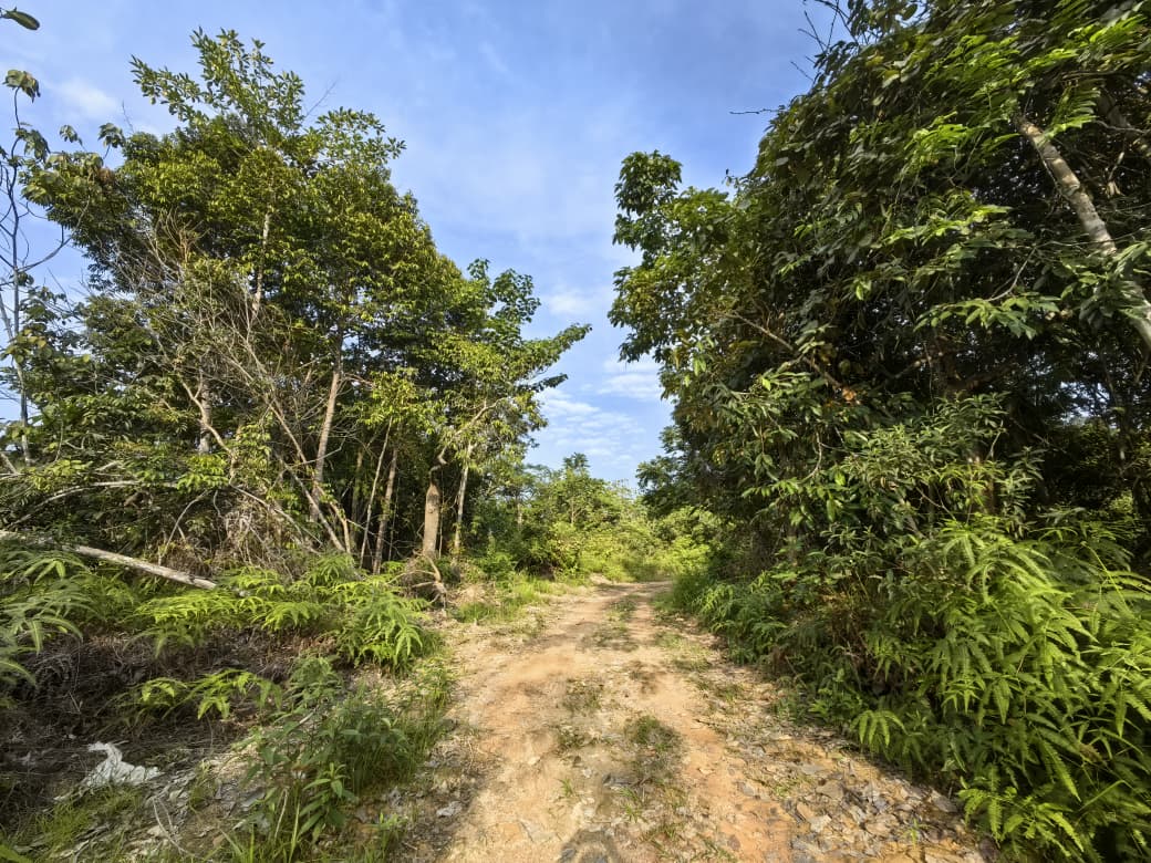 2 Acres Agriculture Land Bandar Kuala Lipis Kechau - photo 12