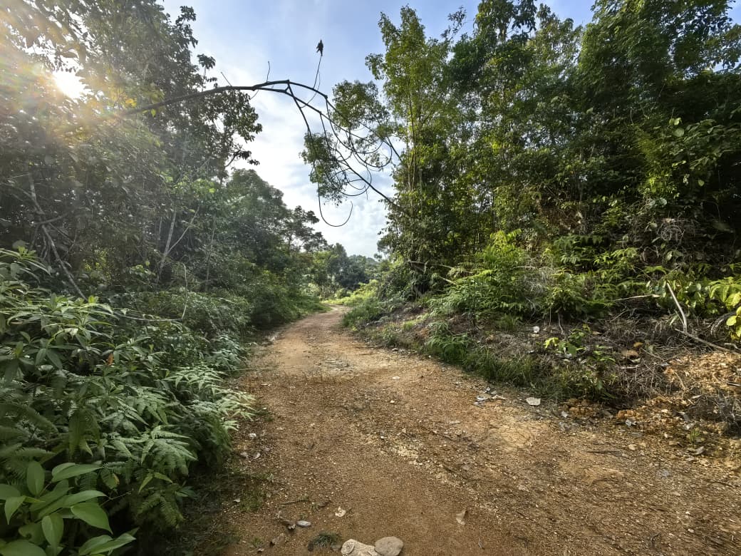 2 Acres Agriculture Land Bandar Kuala Lipis Kechau - photo 13