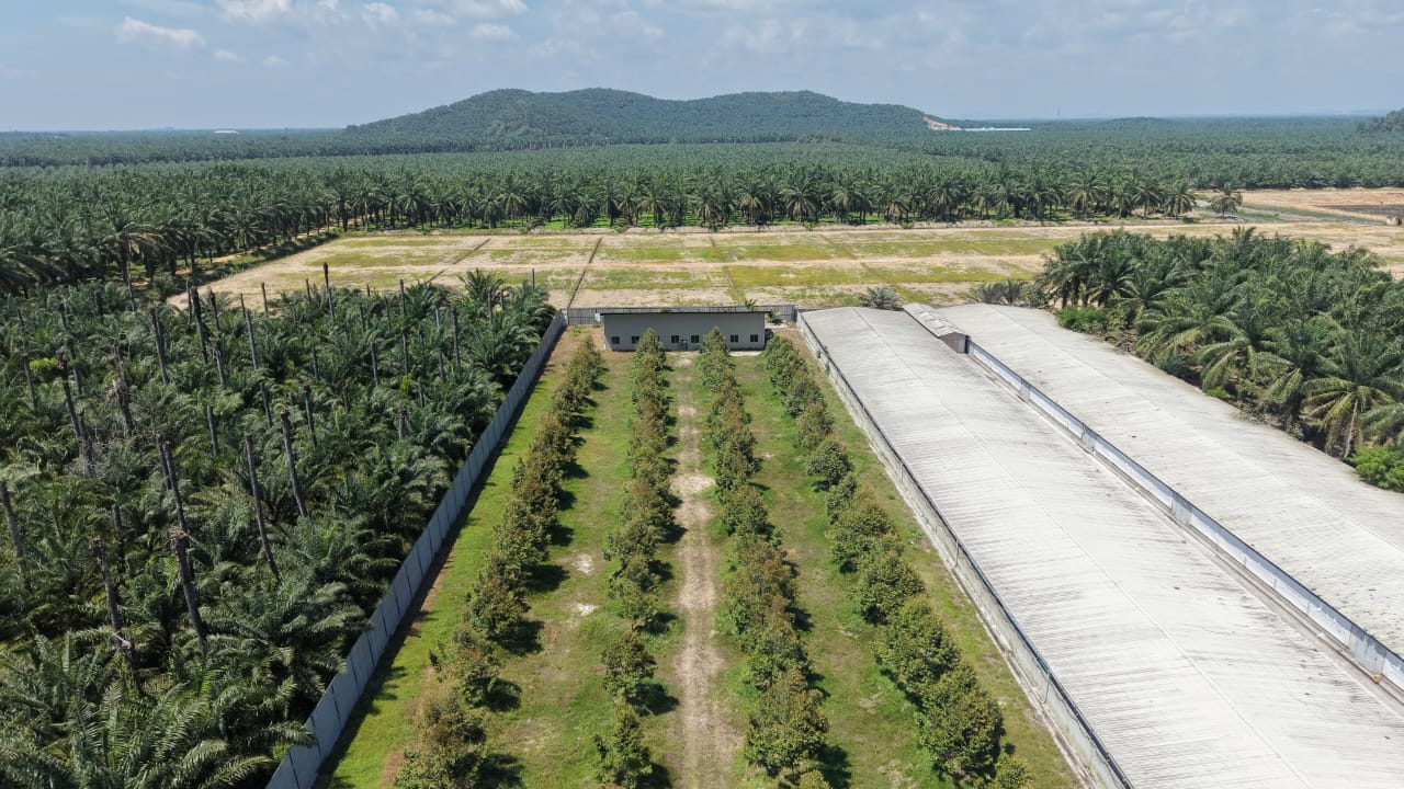 2 Acres Durian Farm Jeram Kuala Selangor - photo 3