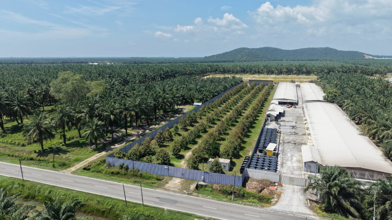 2 Acres Durian Farm Jeram Kuala Selangor - photo 8