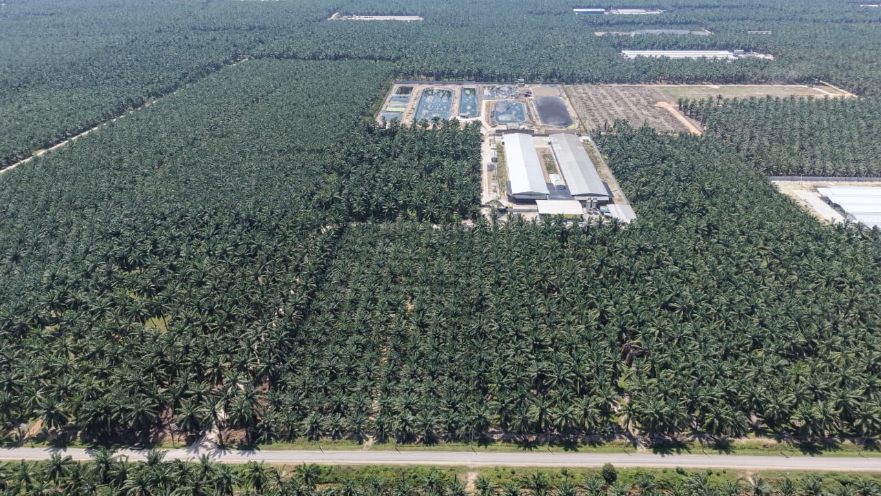 1 Acres Freehold Palm Oil Jeram Kuala Selangor - photo 7