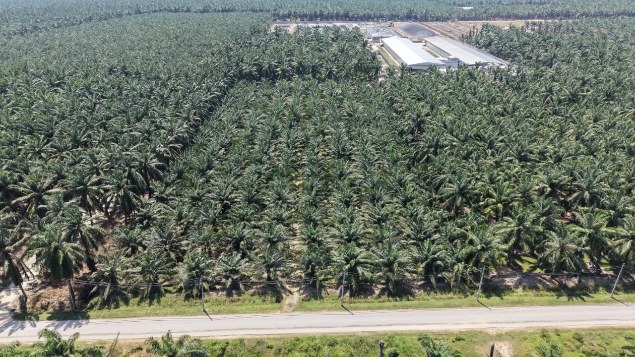 1 Acres Freehold Palm Oil Jeram Kuala Selangor - photo 8