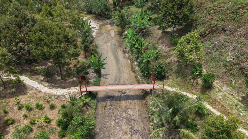 6 Acres Durian Farm Kenaboi Titi Jelebu - photo 4