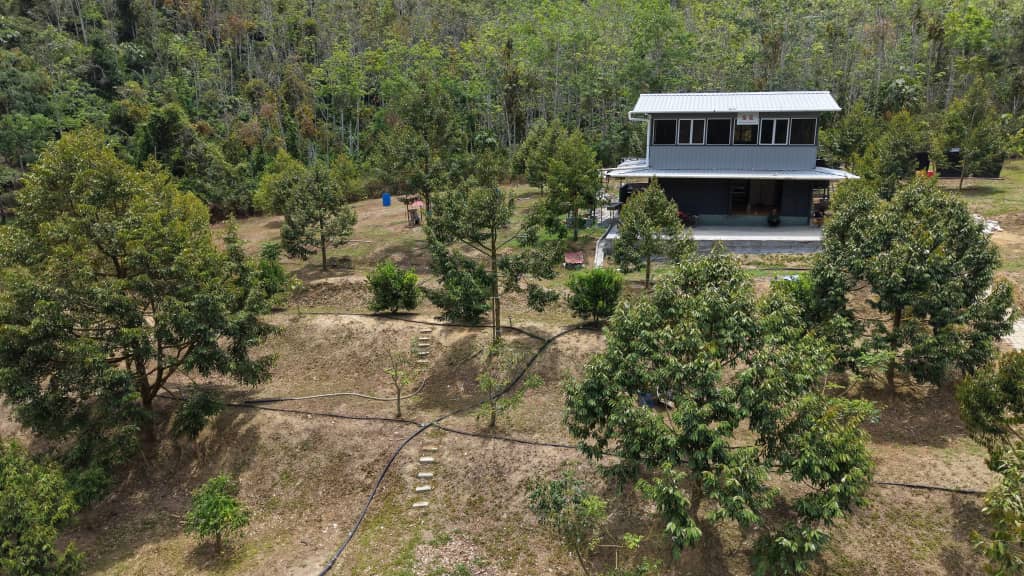 6 Acres Durian Farm Kenaboi Titi Jelebu - photo 6