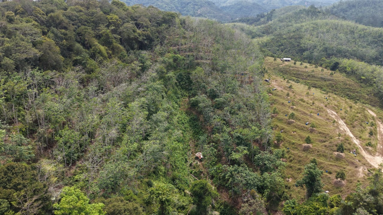 6 Acres Freehold Rubber Land Kenaboi Titi Jelebu - photo 3