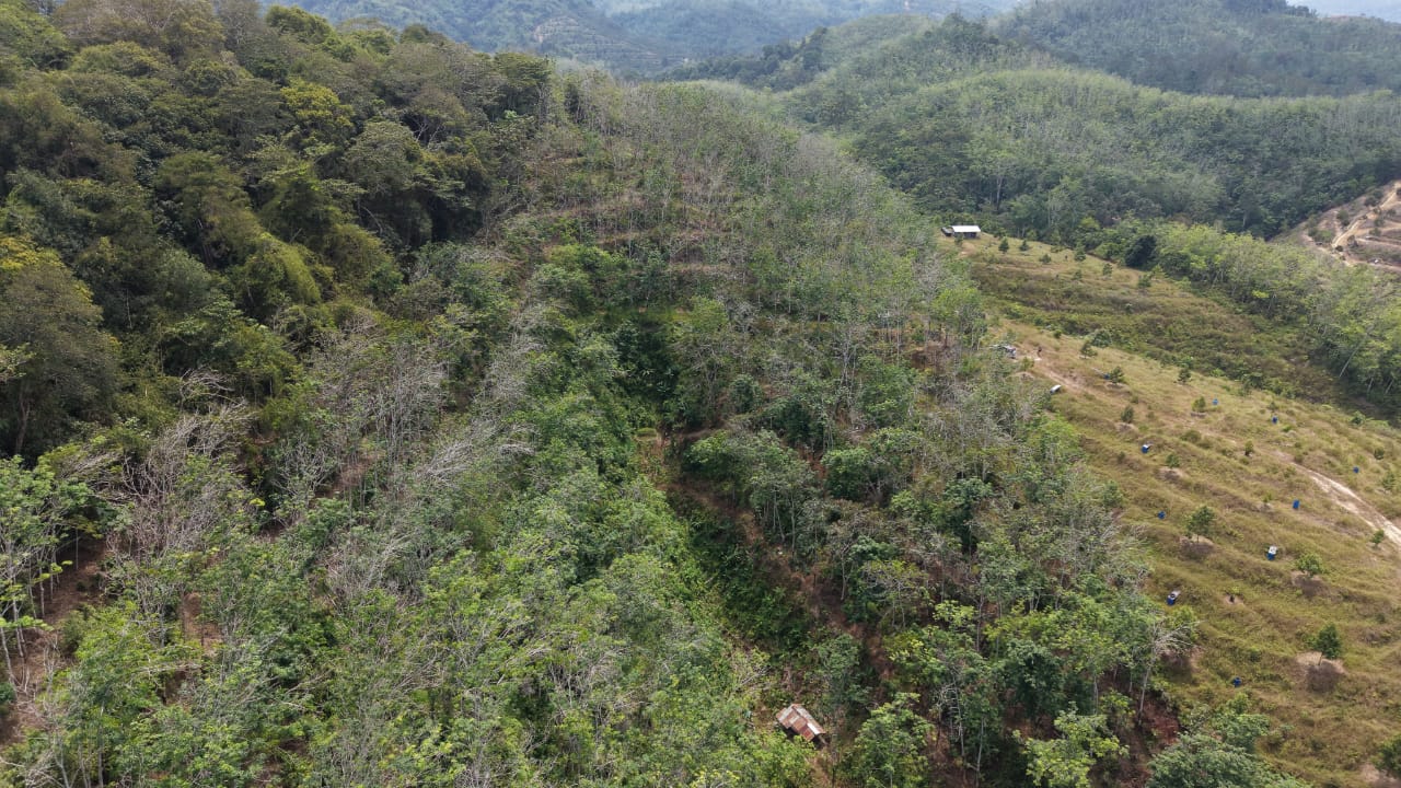 6 Acres Freehold Rubber Land Kenaboi Titi Jelebu - photo 5