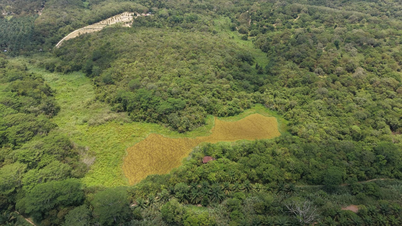 31 Acres Agricultural Land Titi Kuala Klawang - photo 10