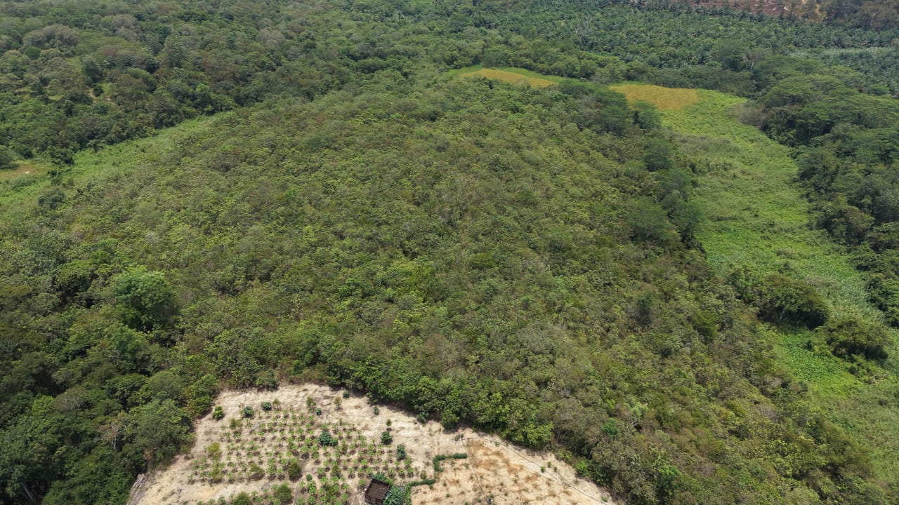 31 Acres Agricultural Land Titi Kuala Klawang - photo 12