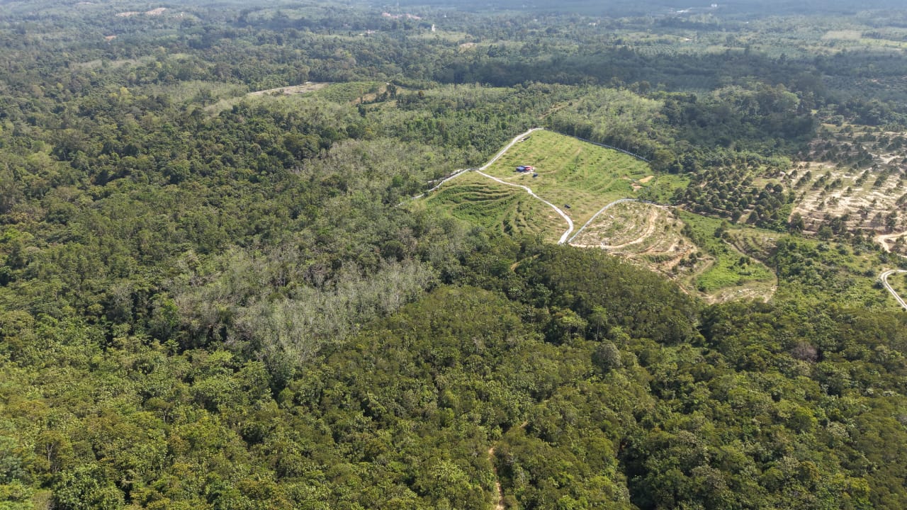 16 Acres Land Padang Tengku Kuala Lipis - photo 5