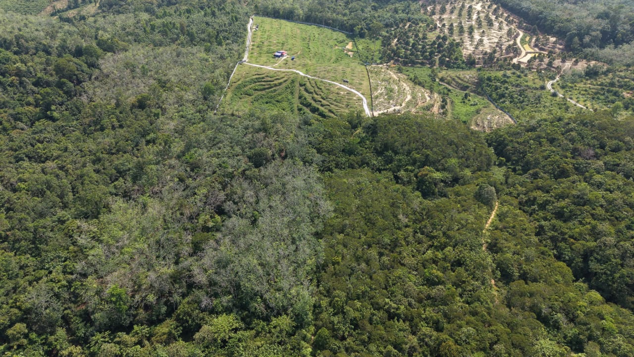 16 Acres Land Padang Tengku Kuala Lipis - photo 8