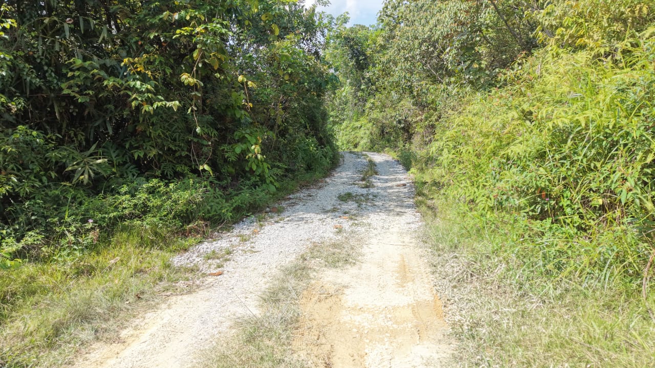 16 Acres Land Padang Tengku Kuala Lipis - photo 9