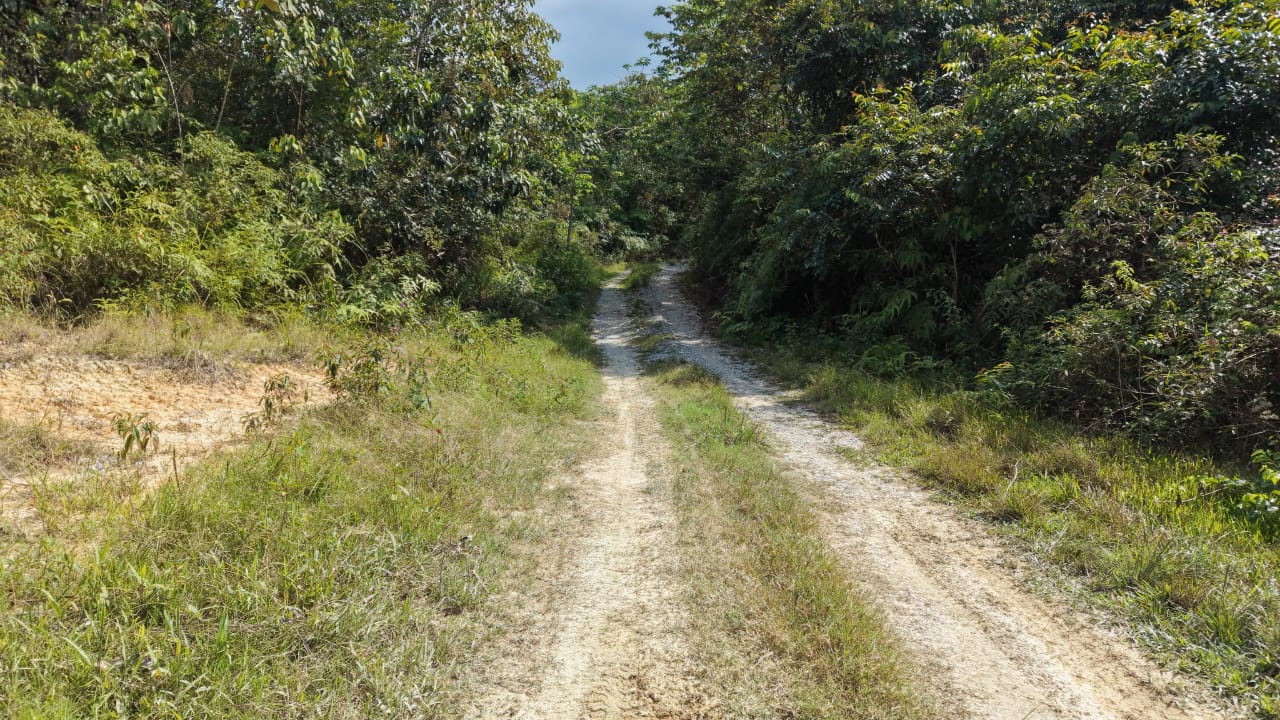 16 Acres Land Padang Tengku Kuala Lipis - photo 10