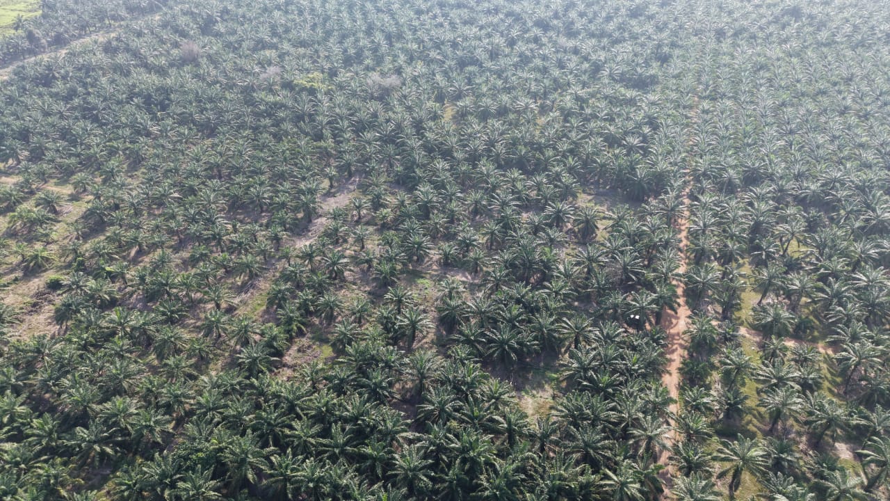 11 Acres Zone Industry Freehold Jeram Kapar - photo 2