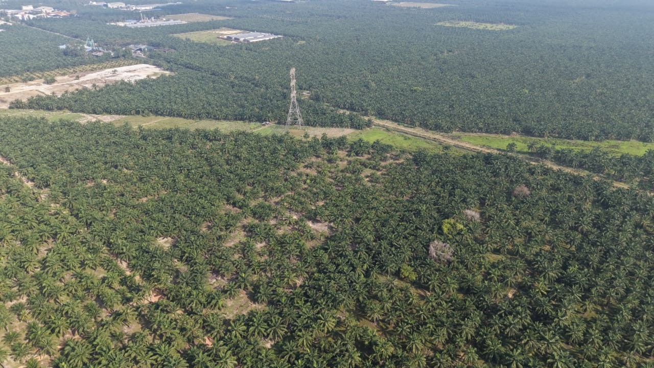 11 Acres Zone Industry Freehold Jeram Kapar - photo 3