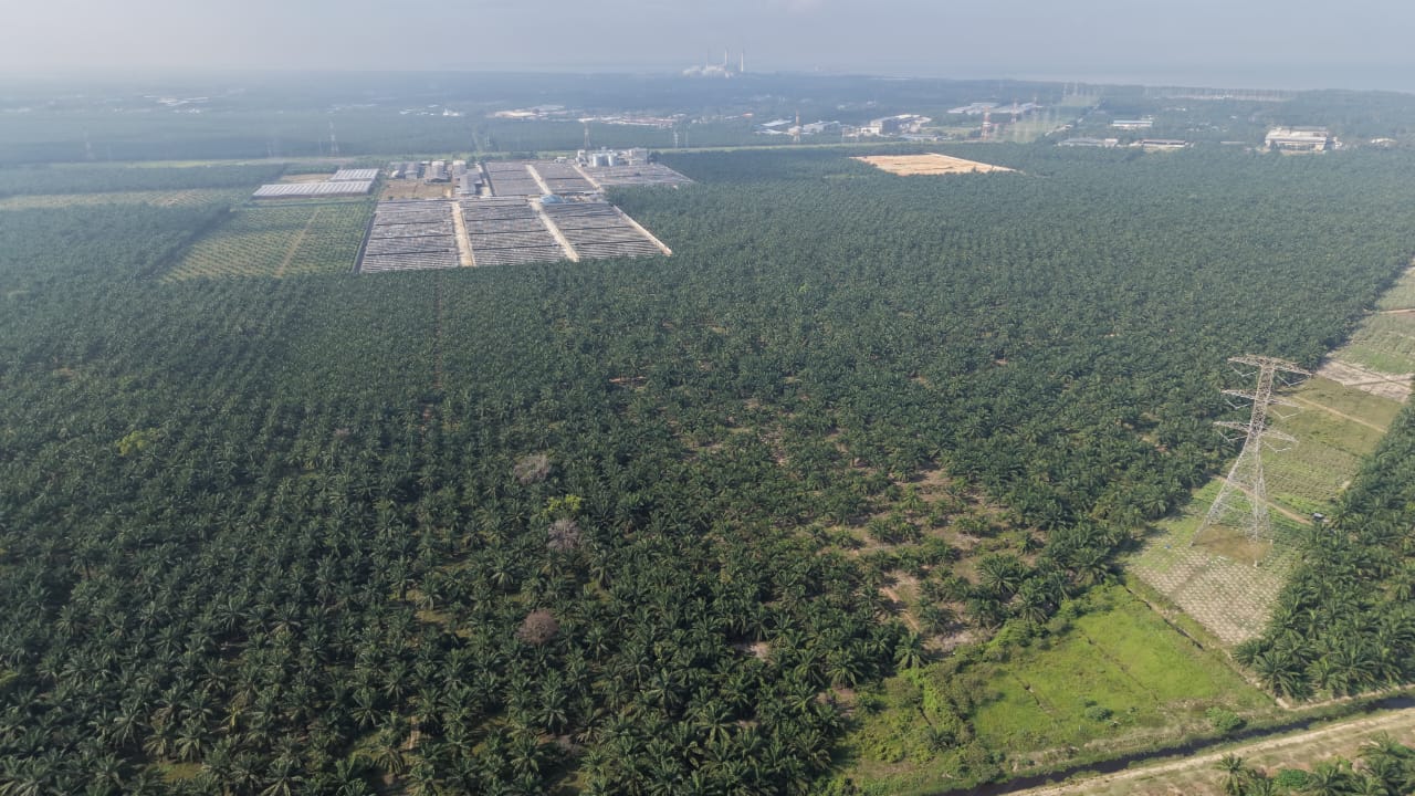 11 Acres Zone Industry Freehold Jeram Kapar - photo 4