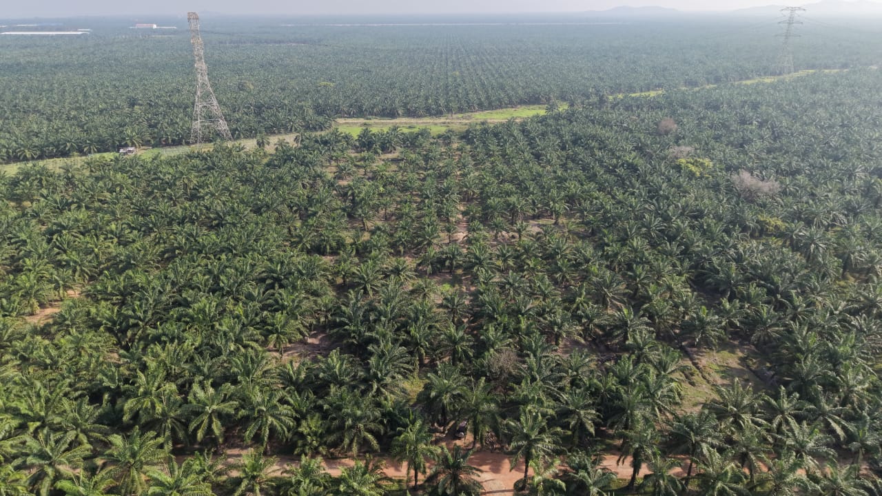 11 Acres Zone Industry Freehold Jeram Kapar - photo 5