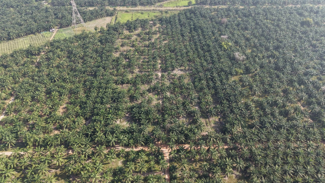 11 Acres Zone Industry Freehold Jeram Kapar - photo 6