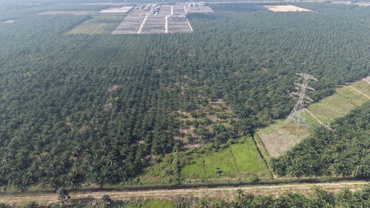11 Acres Zone Industry Freehold Jeram Kapar - photo 7