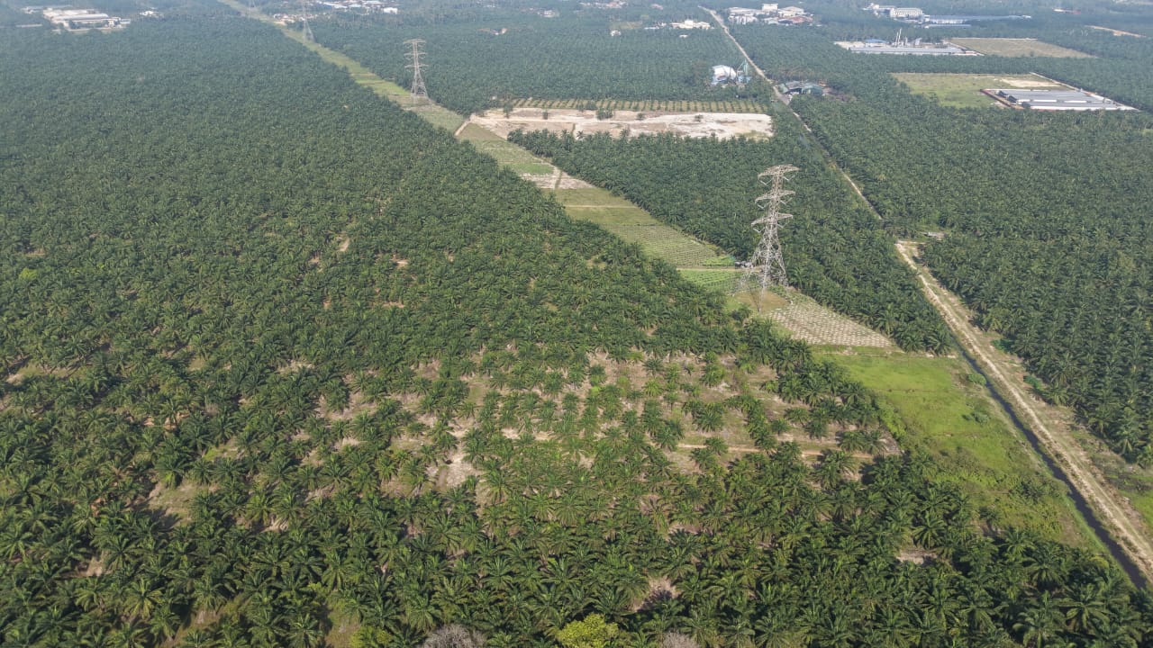 11 Acres Zone Industry Freehold Jeram Kapar - photo 8