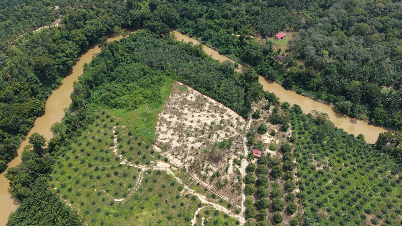 4 Acres Durian Seberang Jelai Kuala Lipis - photo 2