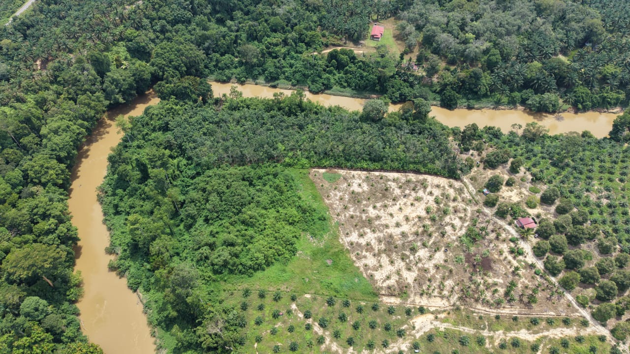 4 Acres Durian Seberang Jelai Kuala Lipis - photo 4