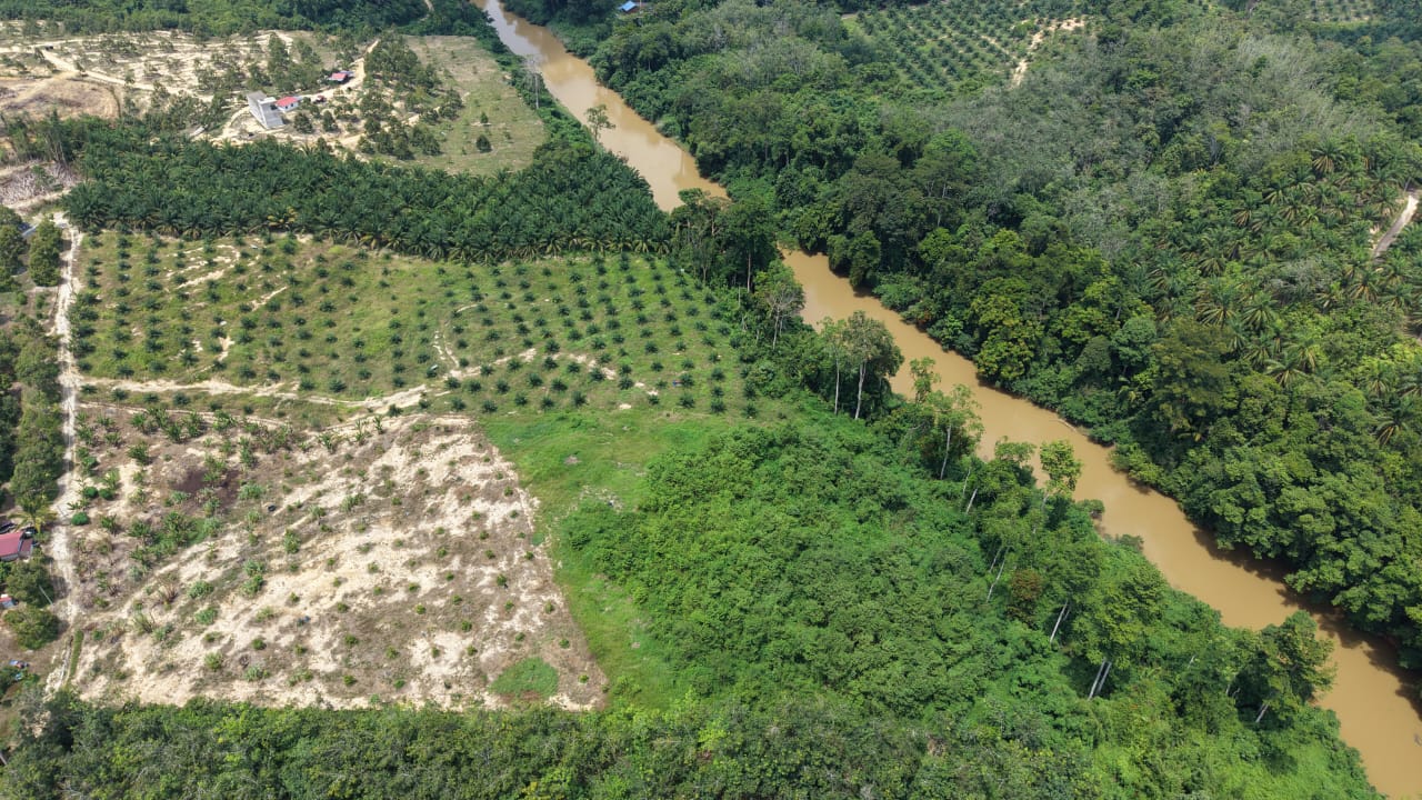 4 Acres Durian Seberang Jelai Kuala Lipis - photo 6