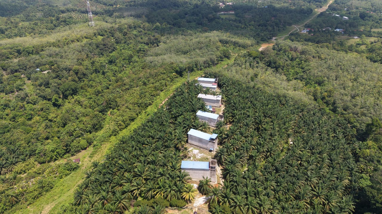 1 Acres Swallow Bird House Kechau Kuala Lipis - photo 2