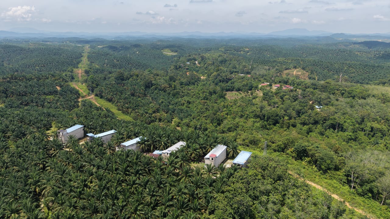 1 Acres Swallow Bird House Kechau Kuala Lipis - photo 3