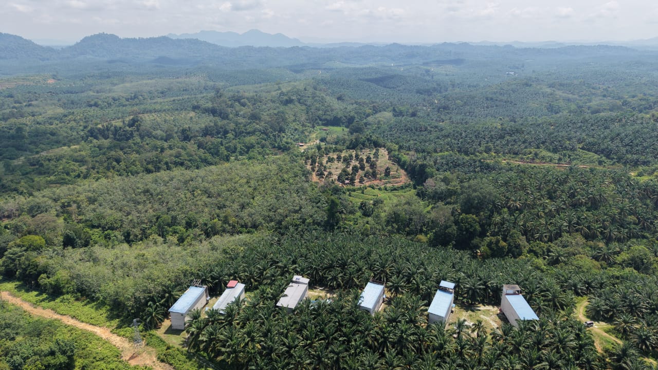 1 Acres Swallow Bird House Kechau Kuala Lipis - photo 4