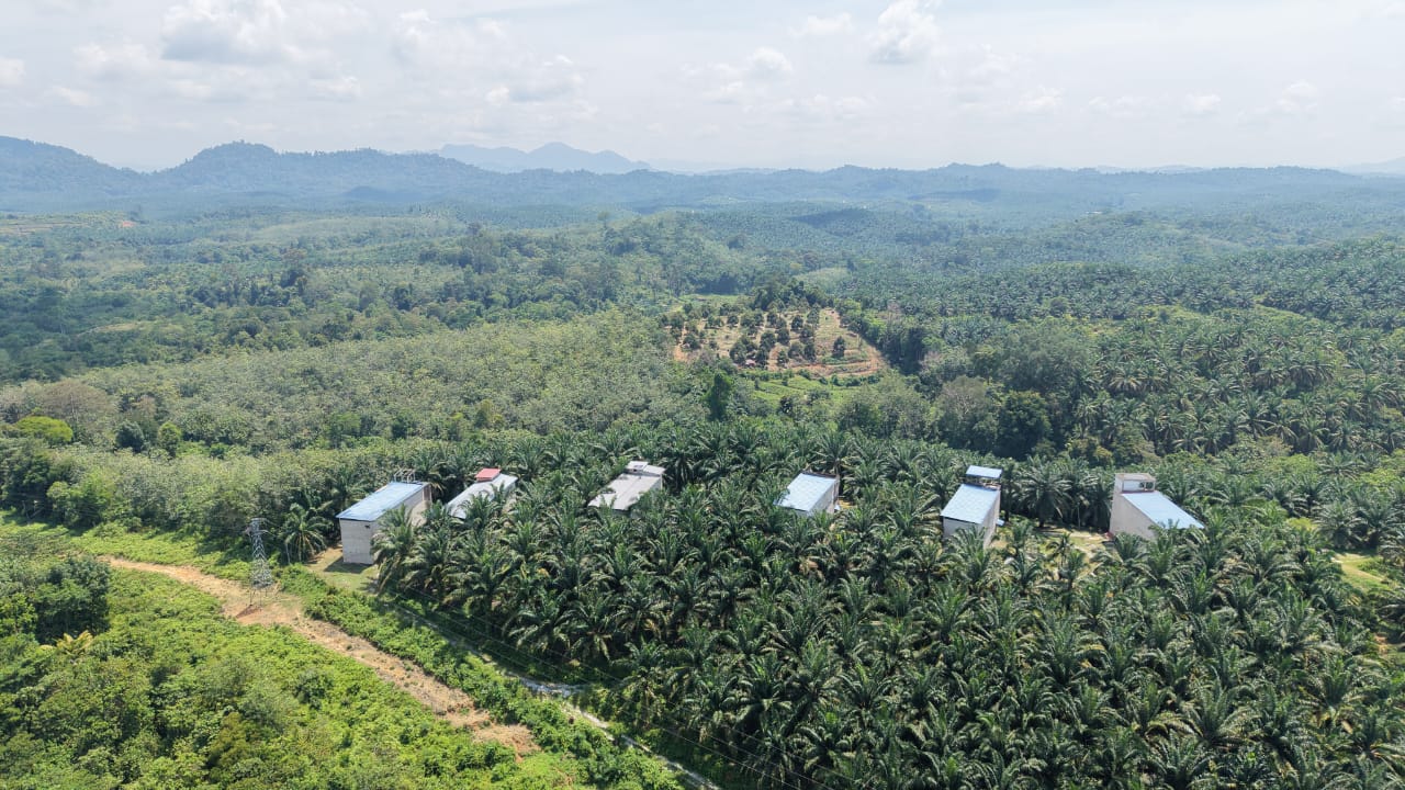 1 Acres Swallow Bird House Kechau Kuala Lipis - photo 5