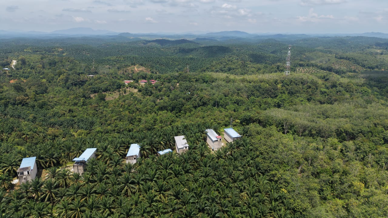 1 Acres Swallow Bird House Kechau Kuala Lipis - photo 10